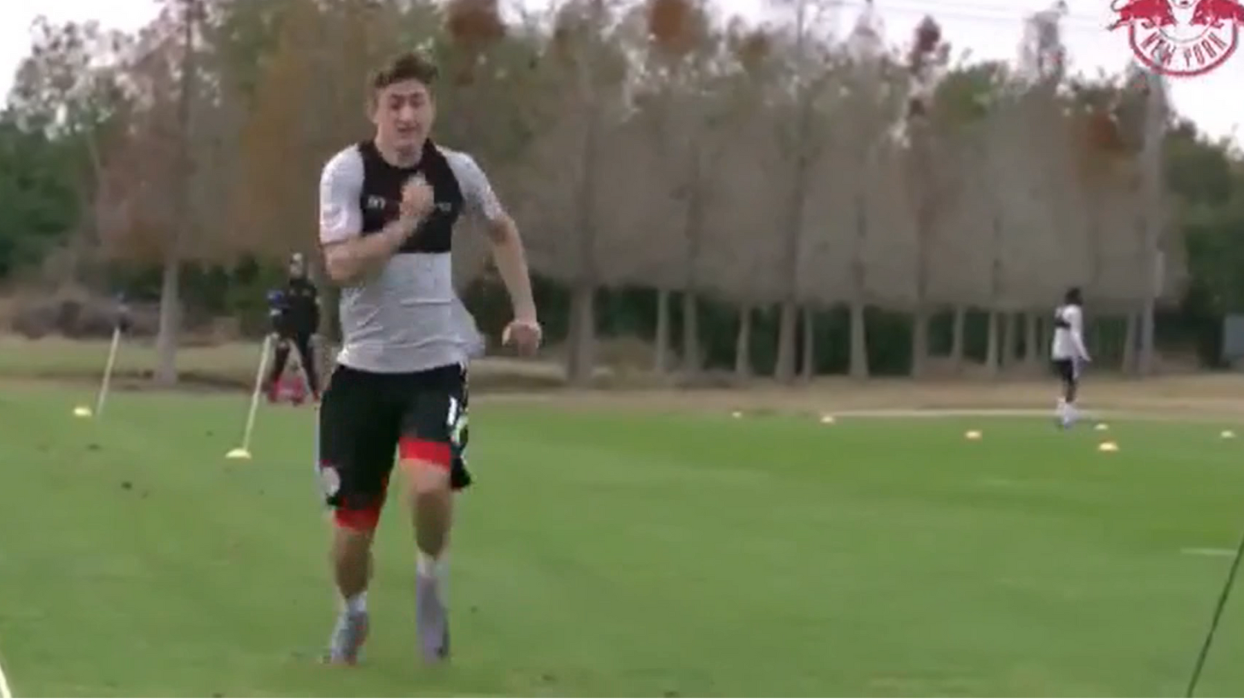 Pro Footballer Sprint Mechanics Analysis