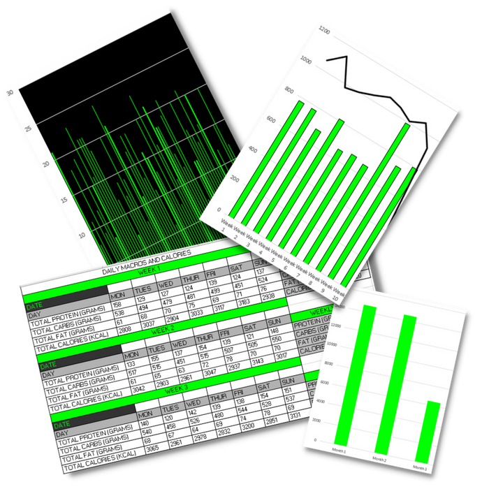 Digital Testing & Tracking System